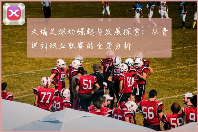 大埔足球的崛起与发展探索：从青训到职业联赛的全景分析