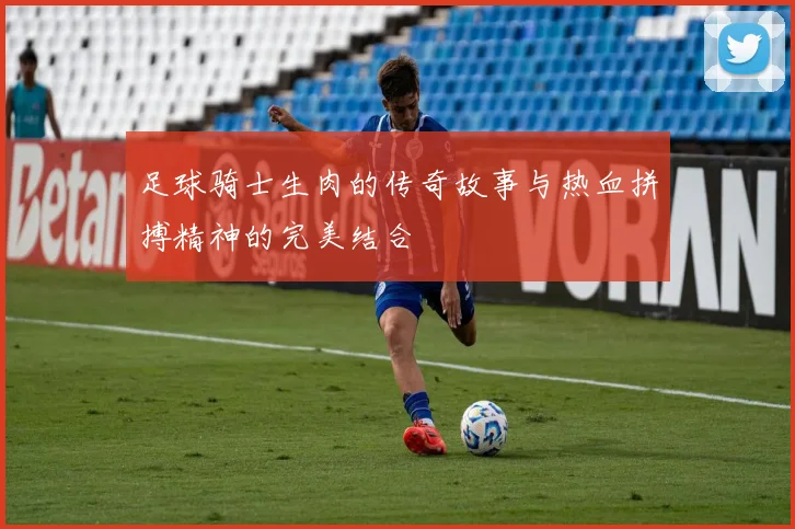 足球骑士生肉的传奇故事与热血拼搏精神的完美结合