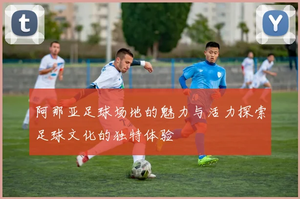 阿那亚足球场地的魅力与活力探索足球文化的独特体验