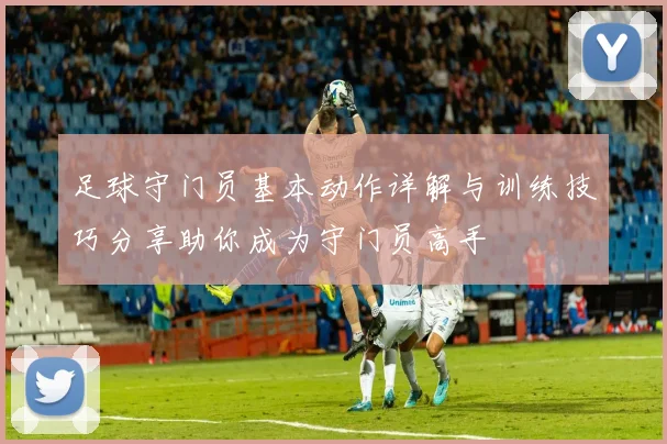 足球守门员基本动作详解与训练技巧分享助你成为守门员高手