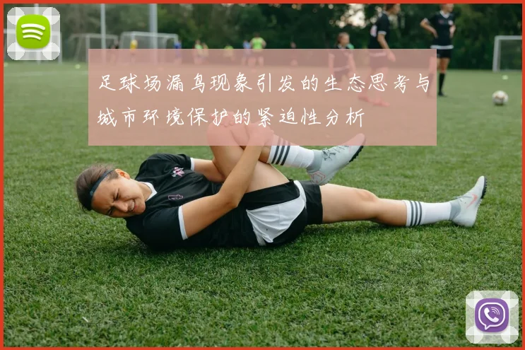 足球场漏鸟现象引发的生态思考与城市环境保护的紧迫性分析