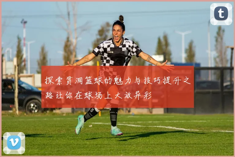 探索贯洞篮球的魅力与技巧提升之路让你在球场上大放异彩