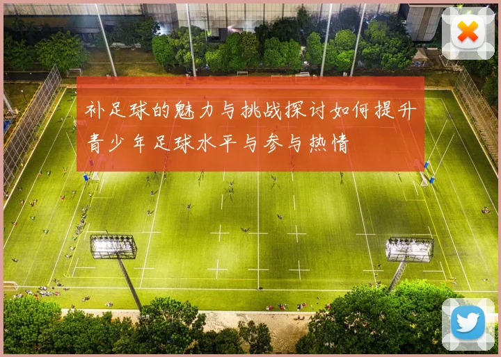补足球的魅力与挑战探讨如何提升青少年足球水平与参与热情