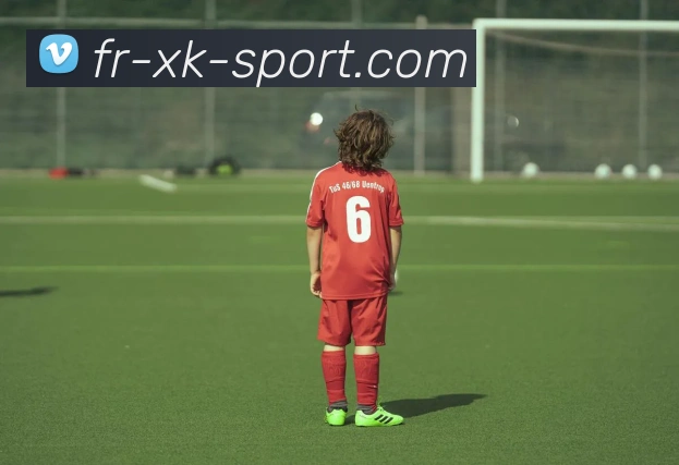 星空官网发展历程